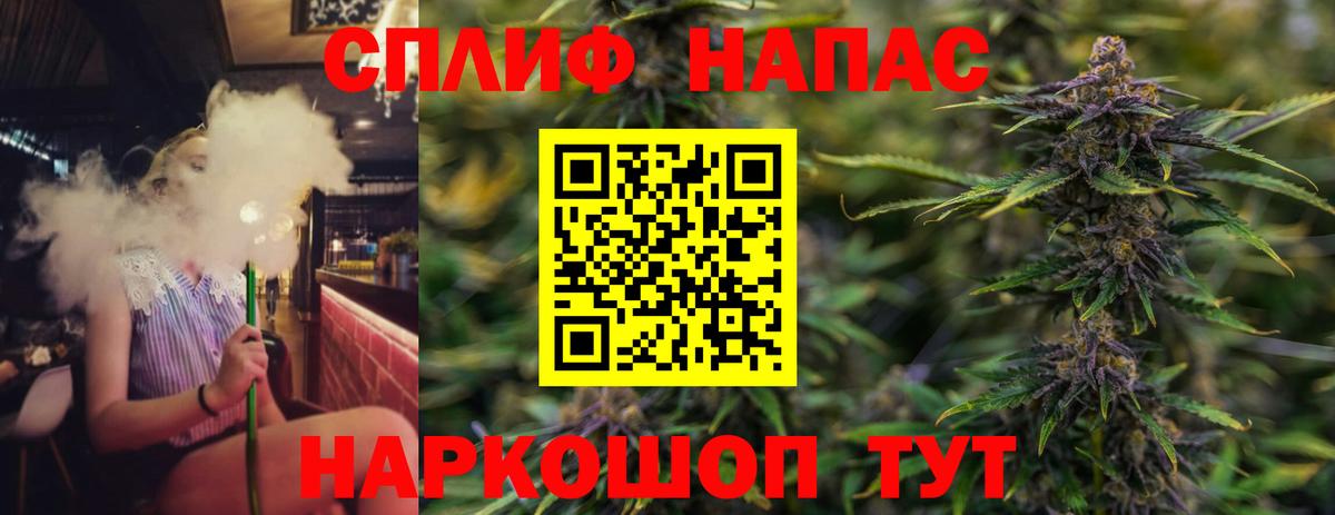 Бошки Шишки планчик Астрахань