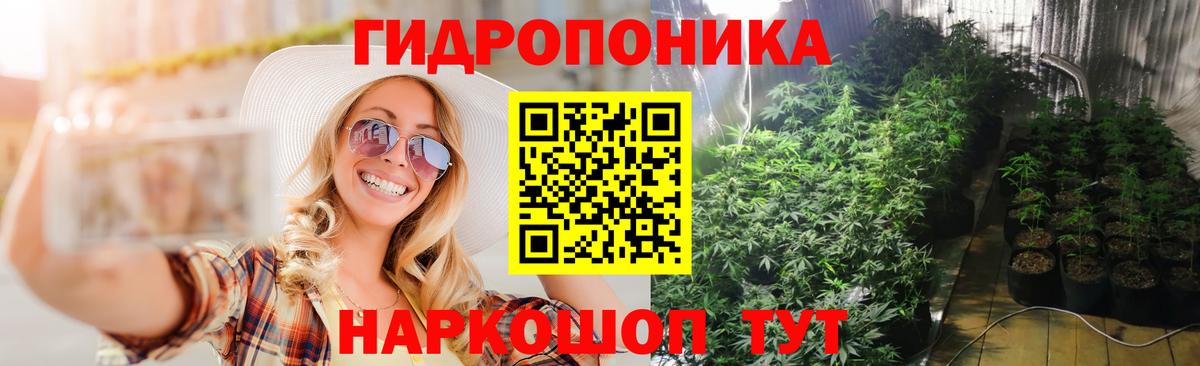 Бошки Шишки Ganja  Канабис планчик  Астрахань  Вход с VPN  Шишки марихуана марихуана 